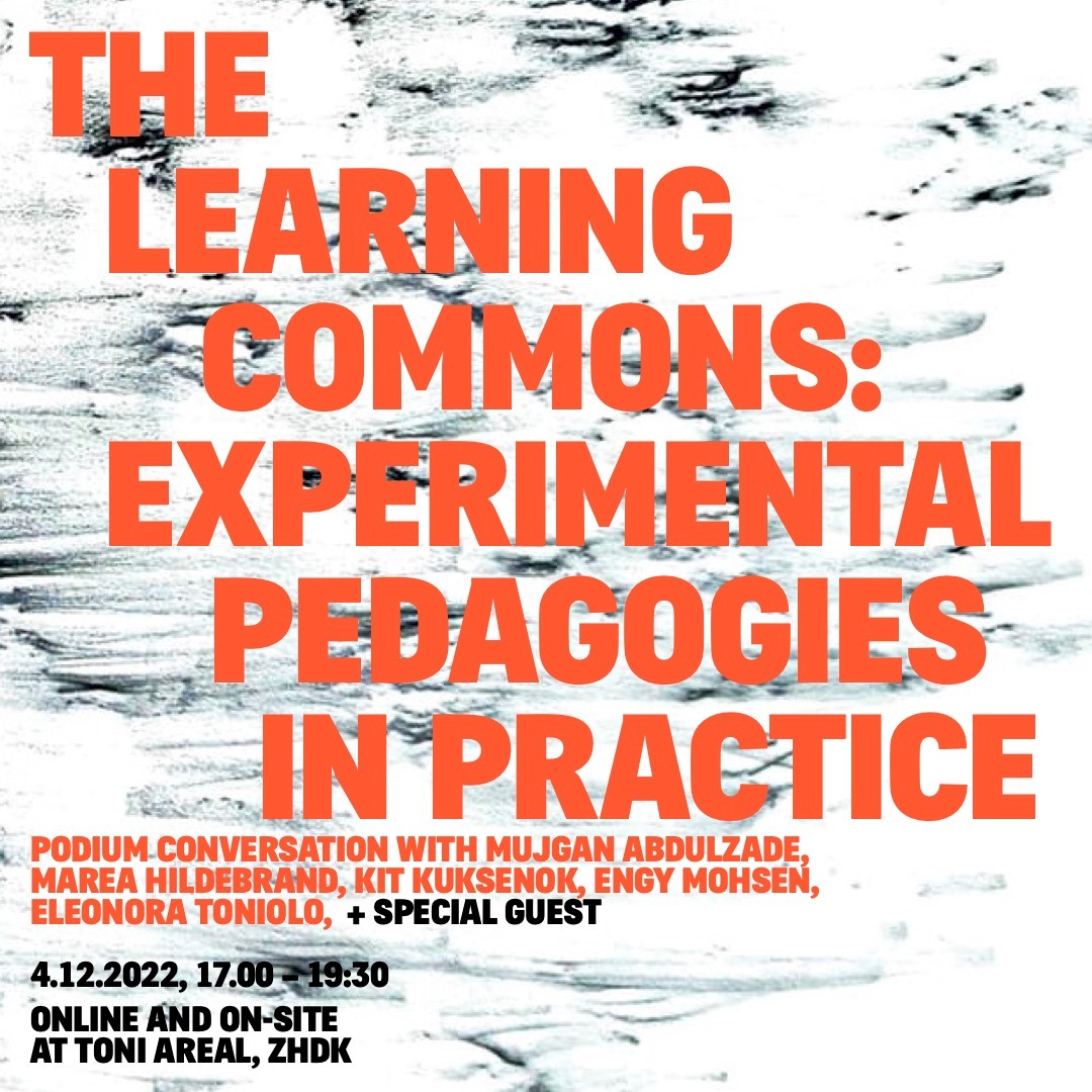 The Learning Commons: Experimental Pedagogies in Practice